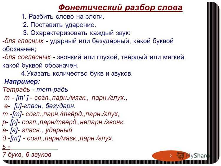 Фонетические особенности термина