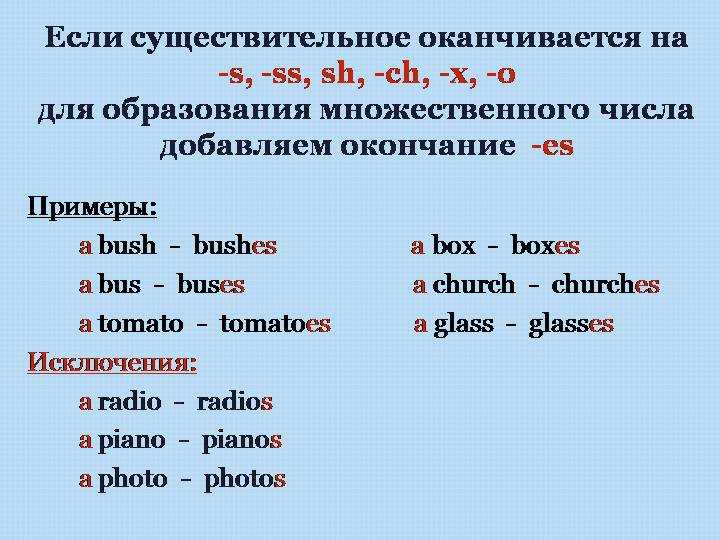 Форма множественного числа термина 