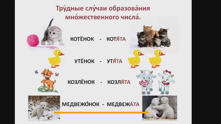 Примеры употребления слова 