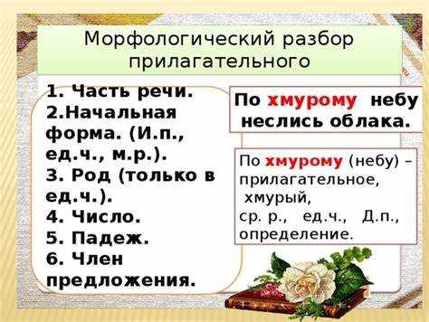 Методы запоминания и практической отработки морфологии терминов сезона