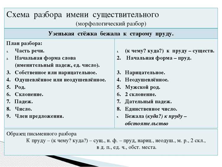 Определение морфологического разбора: что это такое?