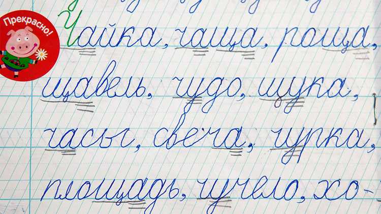 Примеры использования термина «подкладывать» в разных контекстах