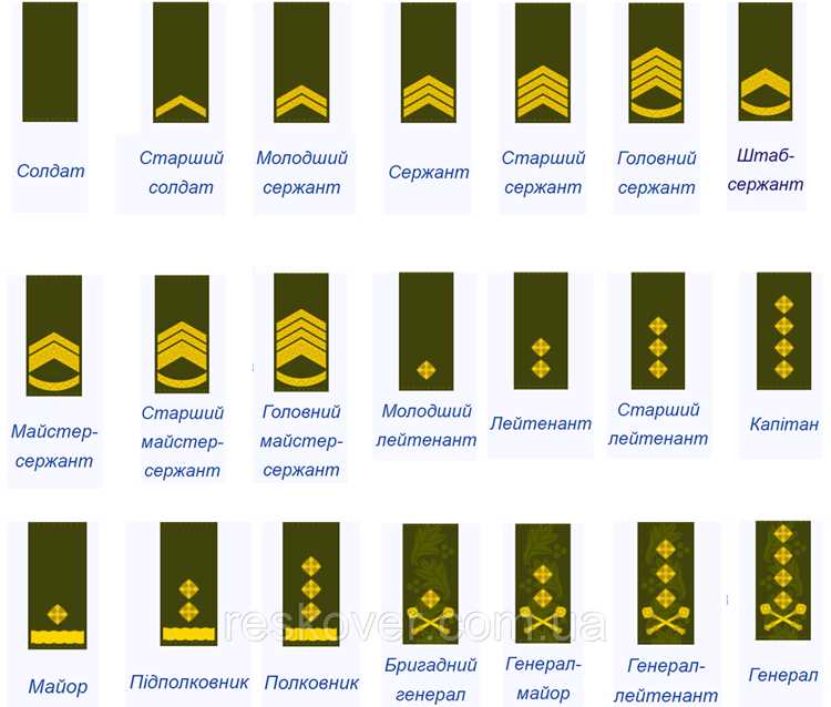 Различия между синонимами в официальной и разговорной речи