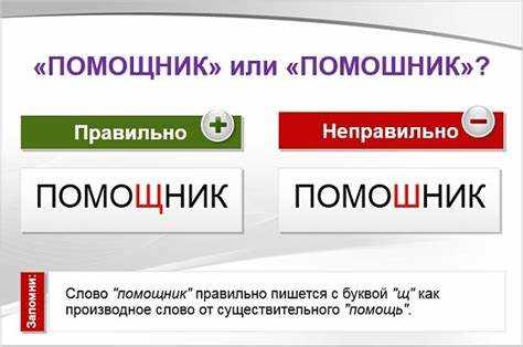 Словарная база и значение