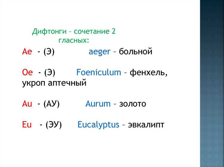 Значение ударения для восприятия таких слов