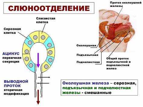 Выражения для детей