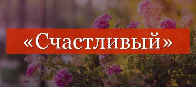 Этимология термина