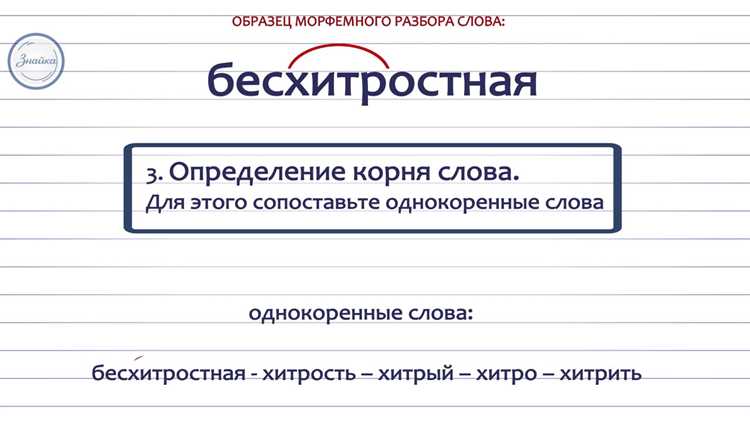 Типы телепередач: классификация и примеры