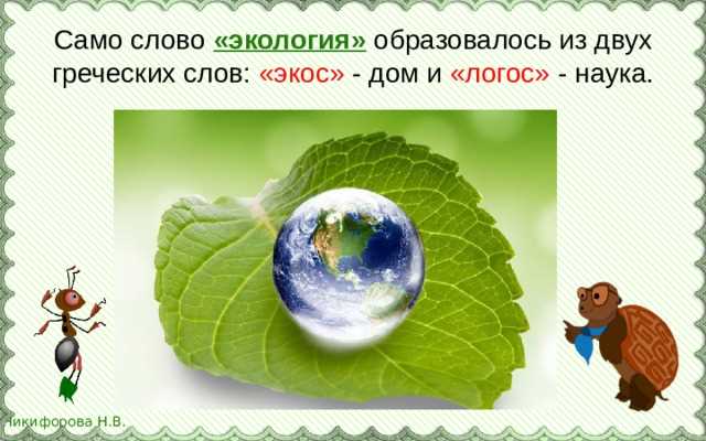 Синонимы