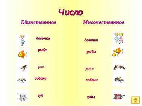 Частотность употребления в современной речи