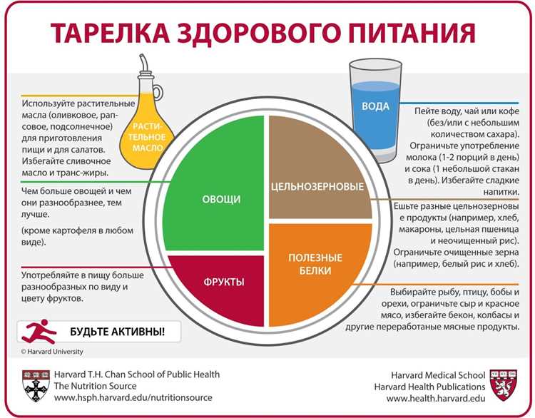 Важность насыщенных жиров и способы их замены