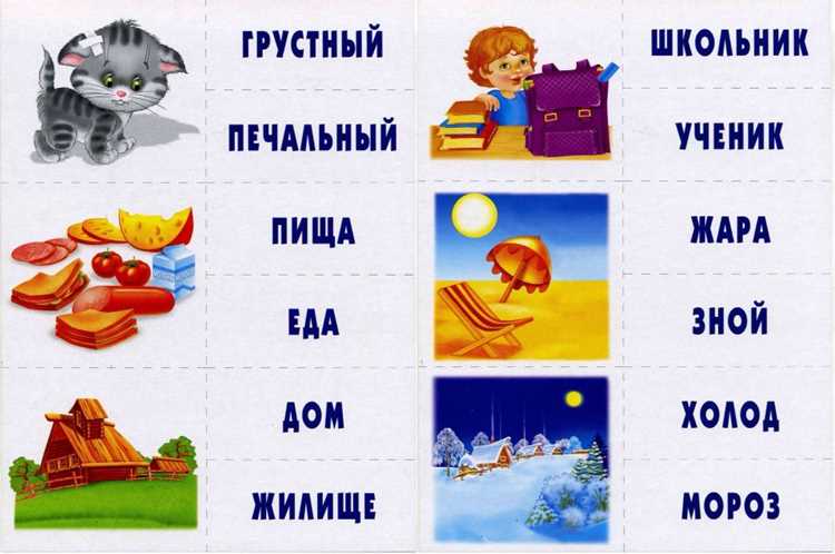 Синонимика участников в научной лексике