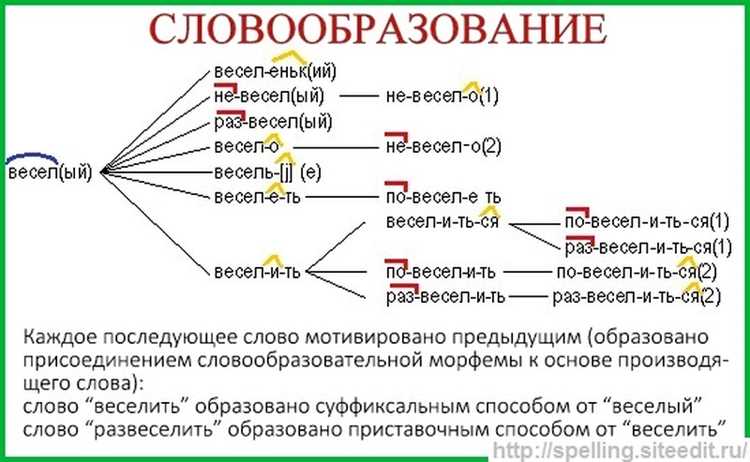 Синонимы и антонимы: расширяем словарный запас