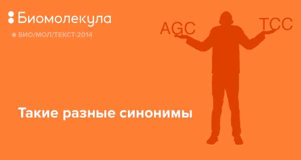Исторические контексты использования альтернативных форм к термину