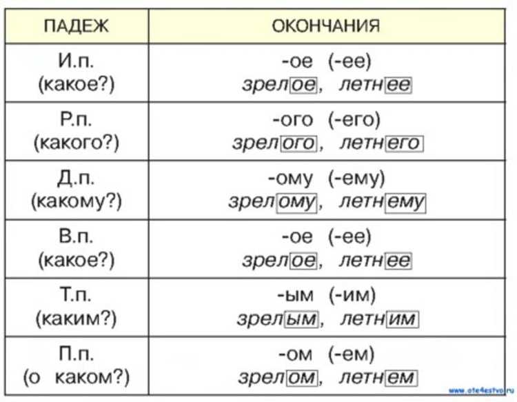 Типы стилей в русском языке: литературный, разговорный, научный и другие
