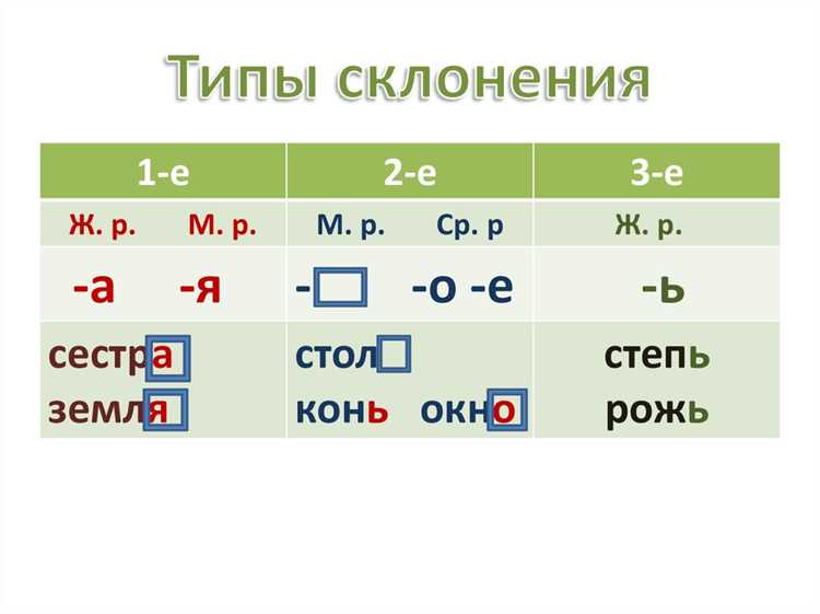 Ошибки при изменении формы термина «таможня»
