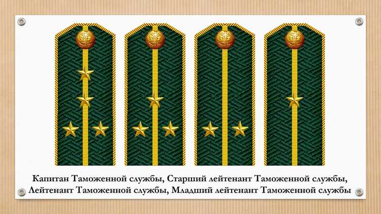 Синонимы и антонимы термина «таможня»