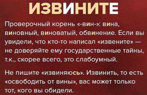 Настройки акцентов в словах с аналогичной структурой
