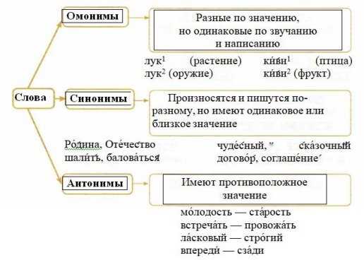 Роль усидчивых антонимов в речи и языке