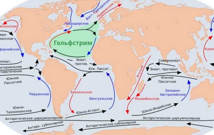 Разработка плана обучения и практики