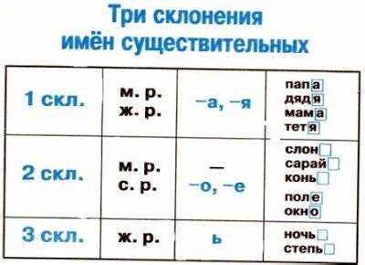 Общие сведения о выпи