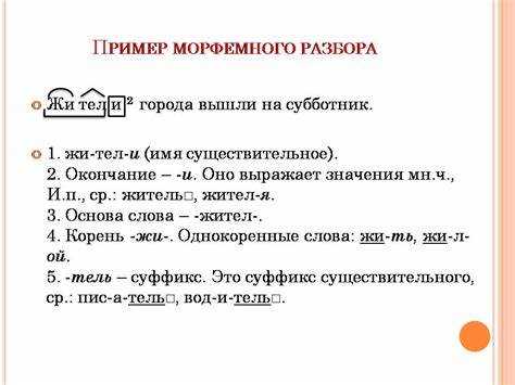 Роль морфологии в улучшении языковой грамотности