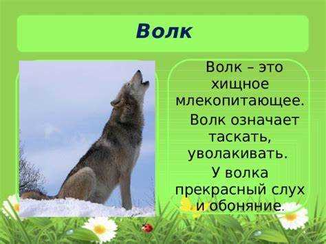Практическое применение синонимов волка в повседневной речи