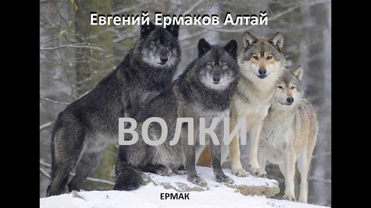 Исторические аспекты использования синонимов слова 