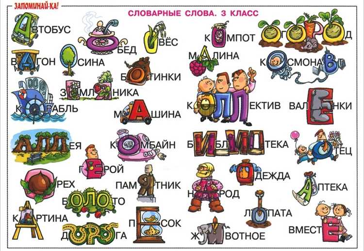 Примеры применения созданных терминов в языке