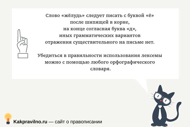 Грамматический разбор слова Вяжущий
