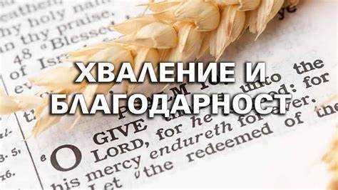 Учет аудитории: кто будет читать ваш текст?