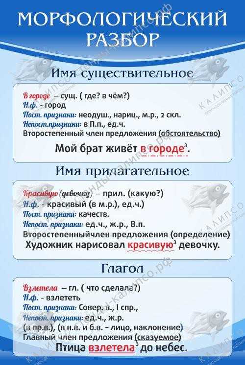 Определение ключевых элементов морфологического анализа
