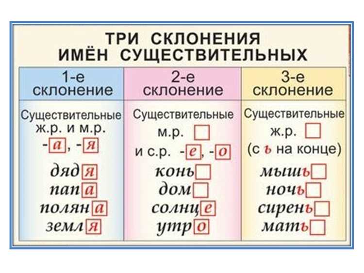 Существительные разных родов: нюансы изменения