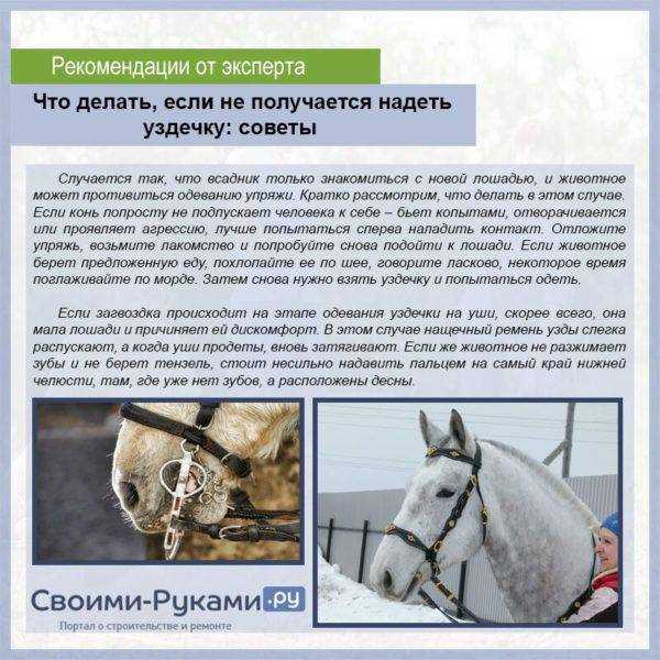 Распространенные ошибки при написании фразы