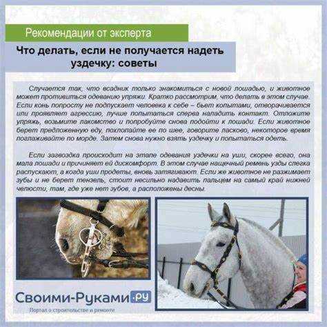 Выбор наилучшего варианта написания