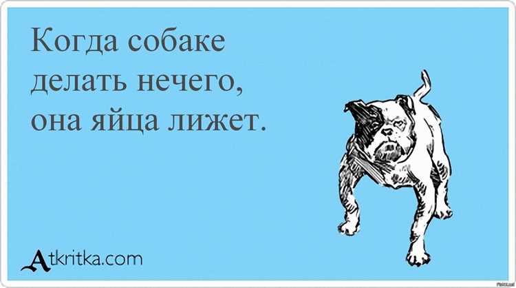 Восприятие выражения в различных культурах