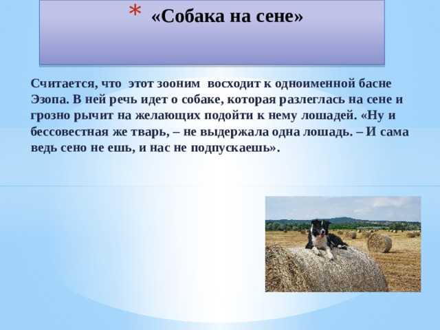 Ситуации, где можно применить выражение